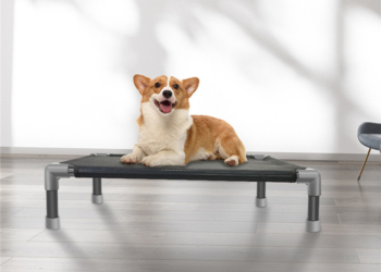 Elevated Dog Bed With Mesh Breathable Pet Bed