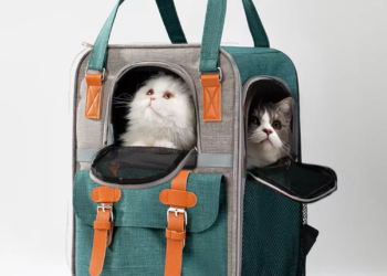 Large Capacity Pet Carrier Backpack Canvas Cat Dog Outdoor Travel