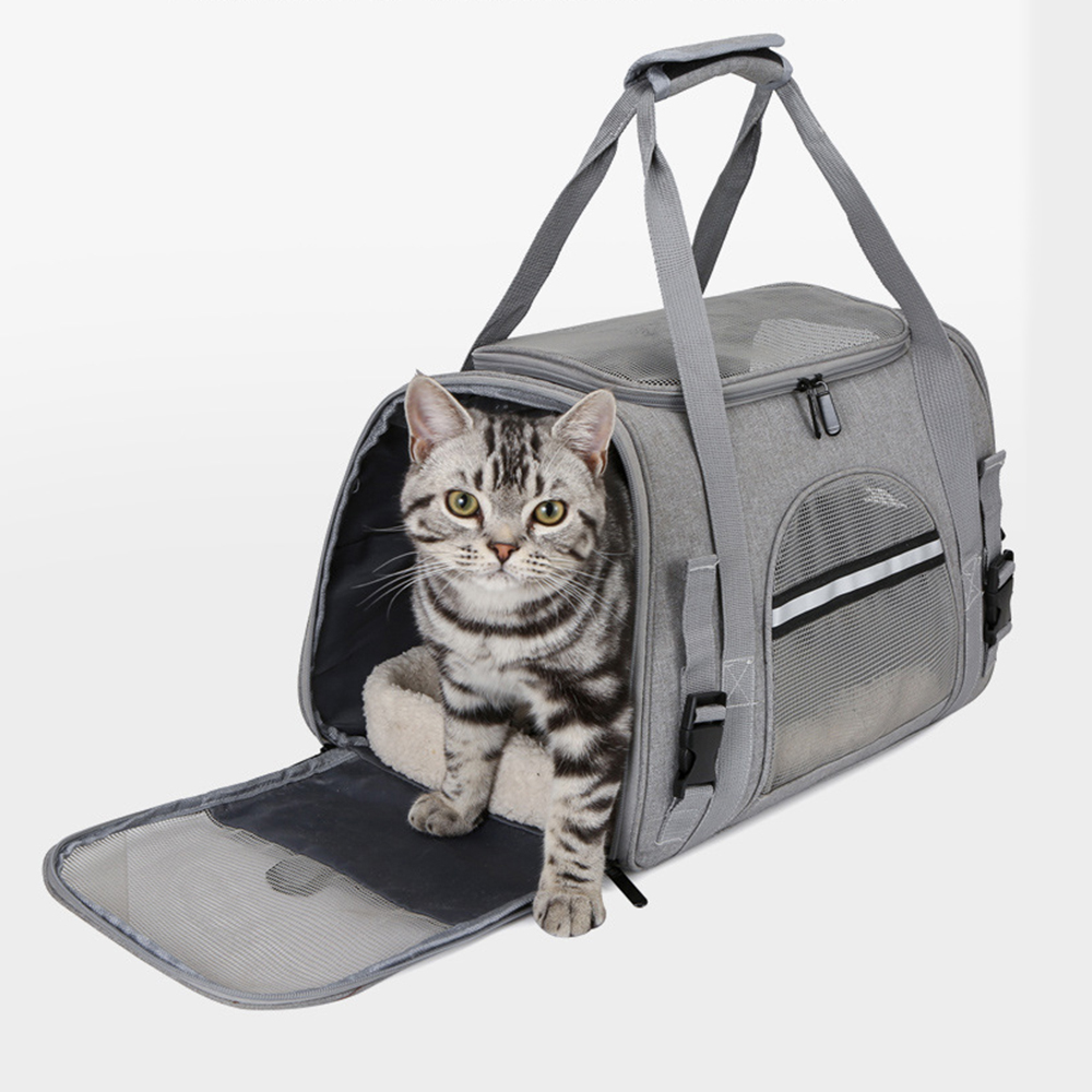 Buy the Petkit Breezy Zone Backpack Carrier (Blue) for Cat and Puppies... (  PETPTK0020 ) online - PBTech.co.nz